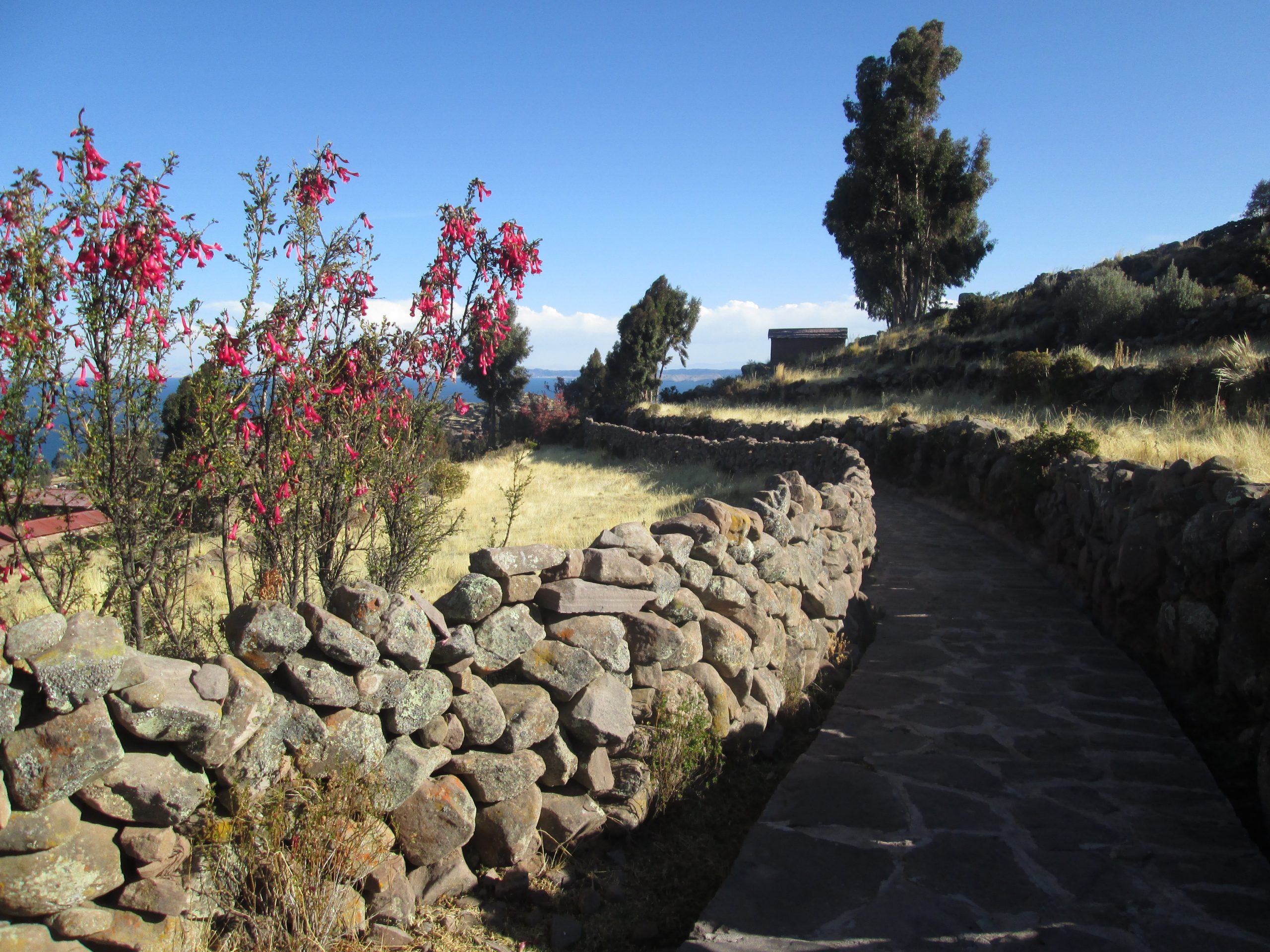 puno
